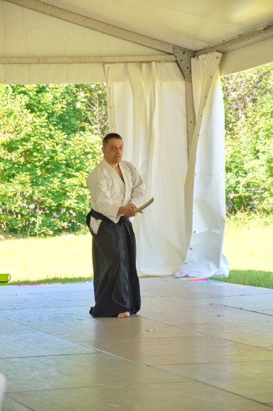 Aikido seminar poster