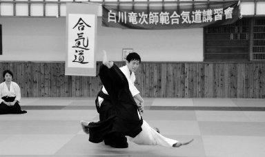 Aikido seminar poster
