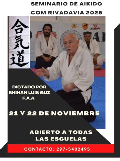 Aikido seminar poster