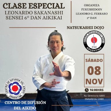 Aikido seminar poster