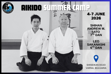 Aikido seminar poster