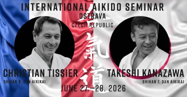 Aikido seminar poster