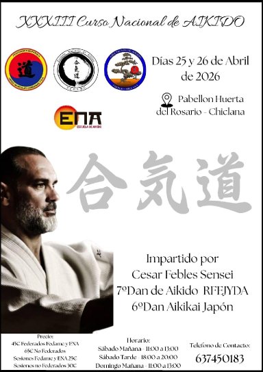 Aikido seminar poster