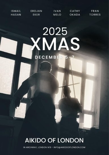 Aikido seminar poster