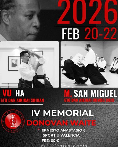 Aikido seminar poster
