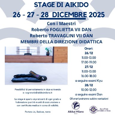 Aikido seminar poster