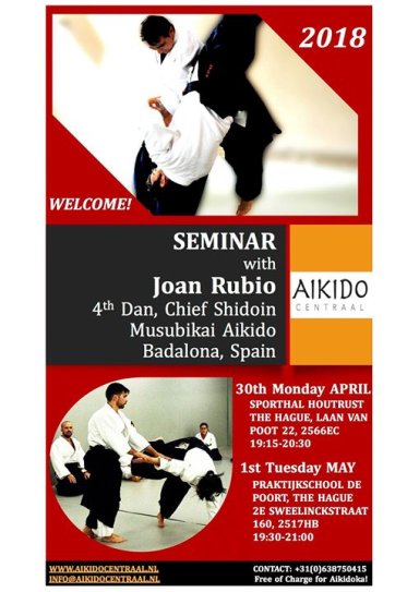 Aikido seminar poster