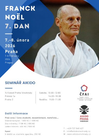 Aikido seminar poster