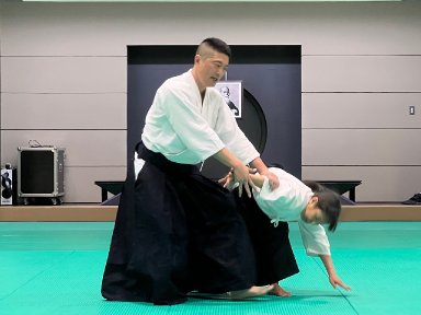 Aikido seminar poster
