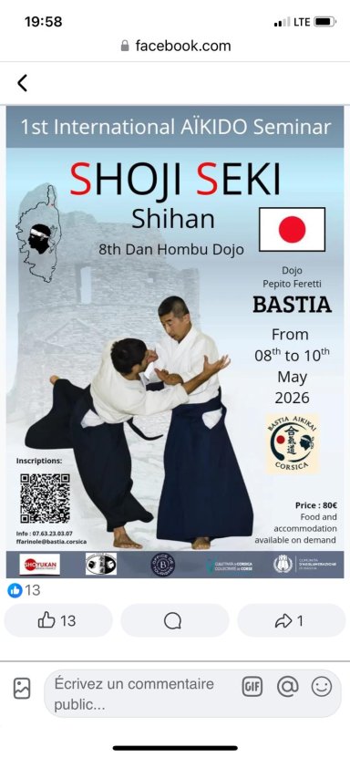 Aikido seminar poster