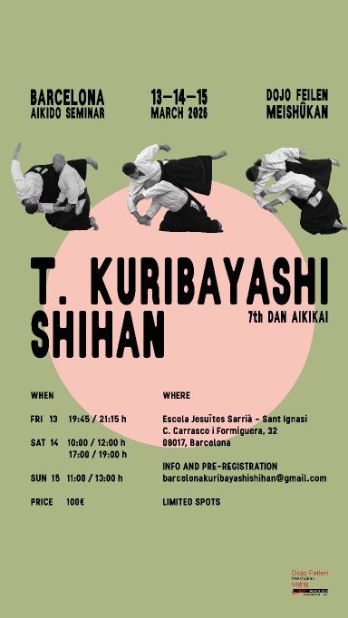Aikido seminar poster