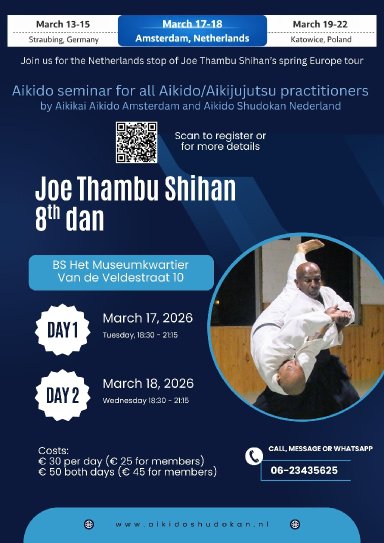 Aikido seminar poster