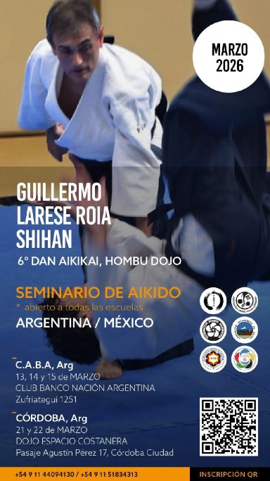 Aikido seminar poster