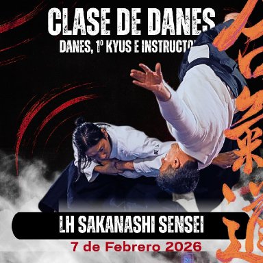 Aikido seminar poster
