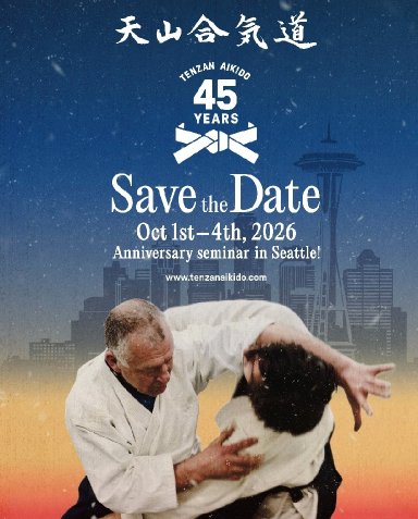 Aikido seminar poster