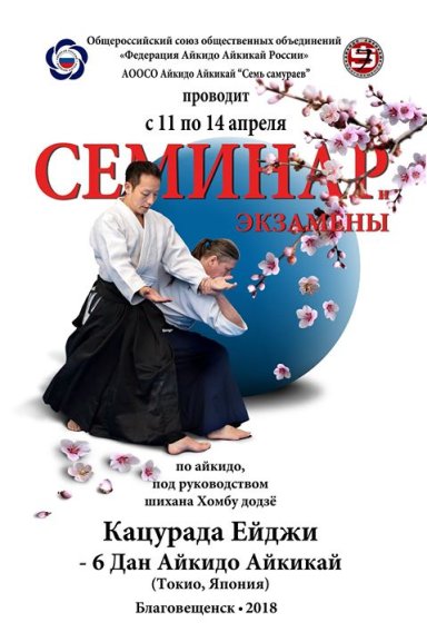 Aikido seminar poster