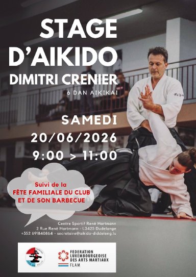 Aikido seminar poster