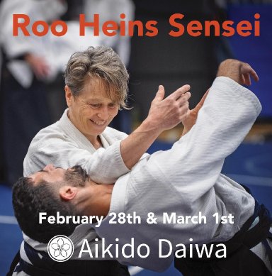 Aikido seminar poster