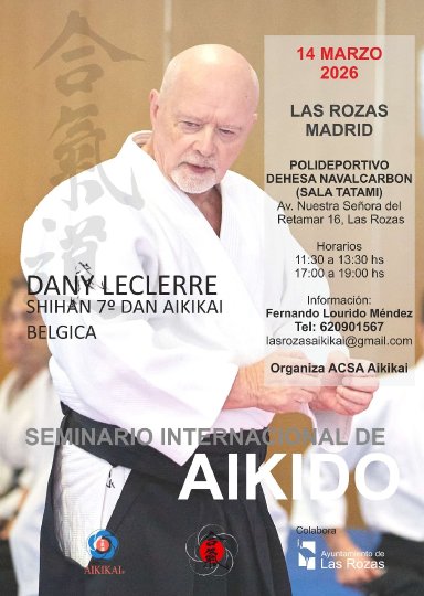 Aikido seminar poster
