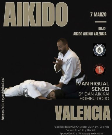 Aikido seminar poster
