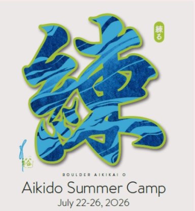 Aikido seminar poster