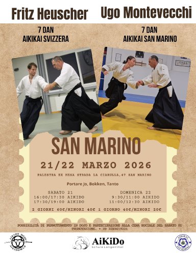 Aikido seminar poster