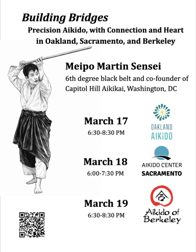 Aikido seminar poster