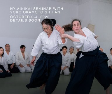 Aikido seminar poster