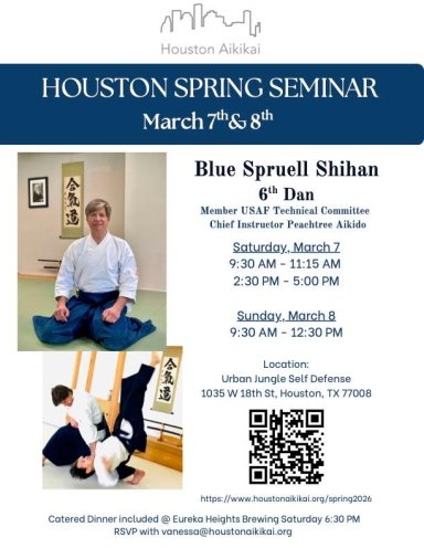 Aikido seminar poster