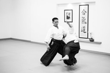 Aikido seminar poster