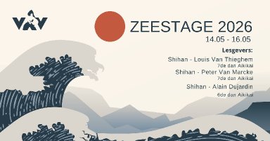 Aikido seminar poster