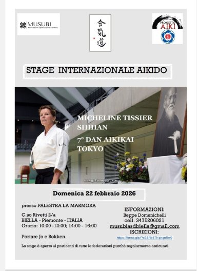 Aikido seminar poster