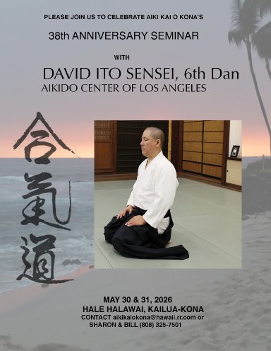 Aikido seminar poster