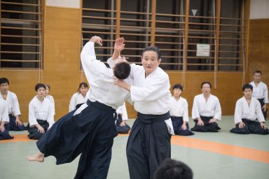 Aikido seminar poster