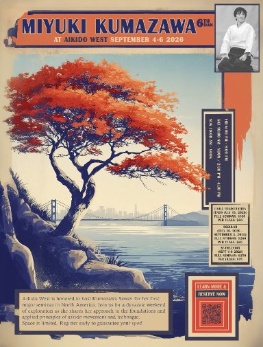 Aikido seminar poster