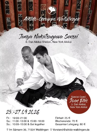 Aikido seminar poster