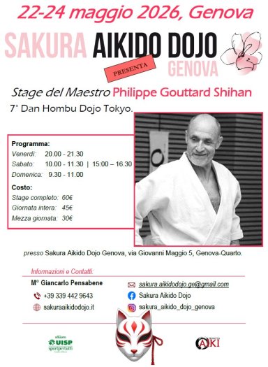 Aikido seminar poster