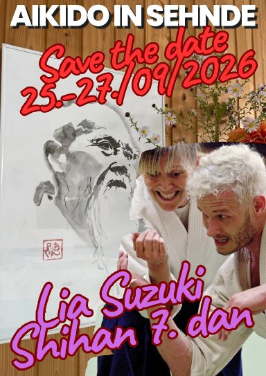Aikido seminar poster