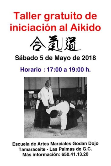 Aikido seminar poster