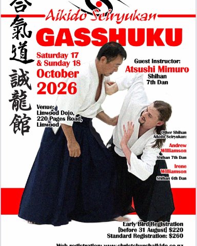 Aikido seminar poster