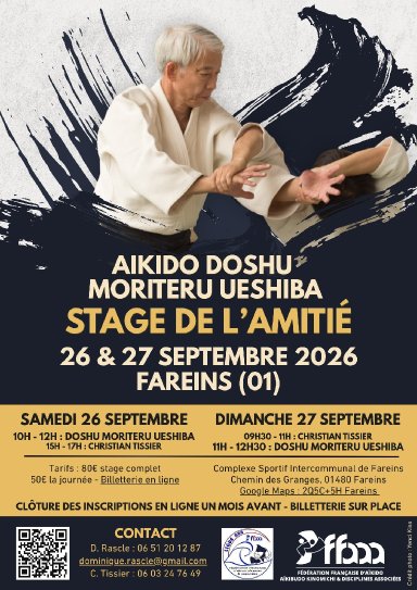 Aikido seminar poster