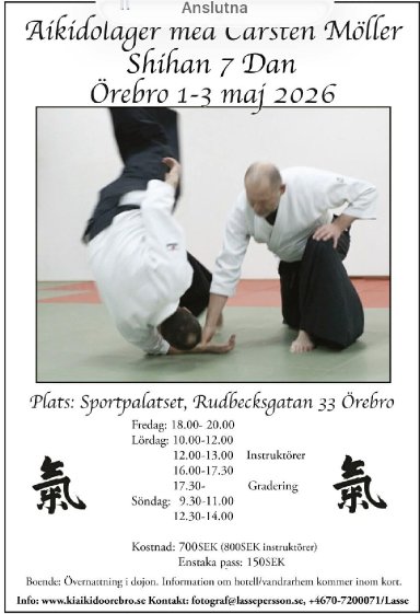 Aikido seminar poster
