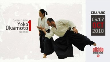 Aikido seminar poster