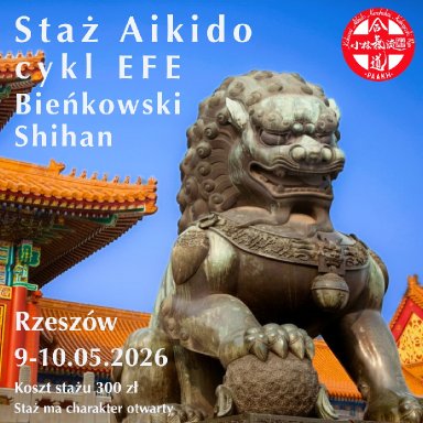 Aikido seminar poster