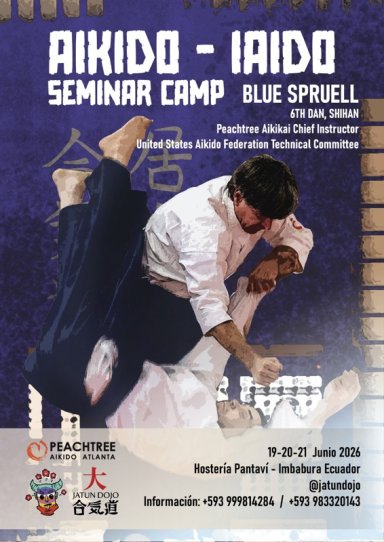 Aikido seminar poster