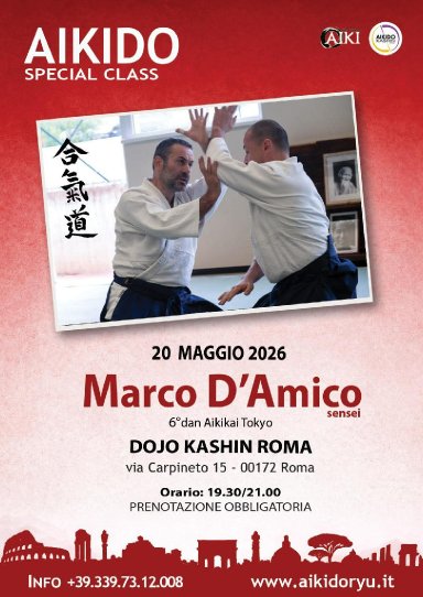 Aikido seminar poster