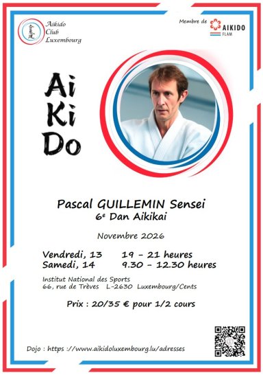 Aikido seminar poster