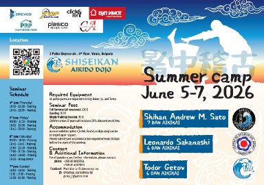 Aikido seminar poster