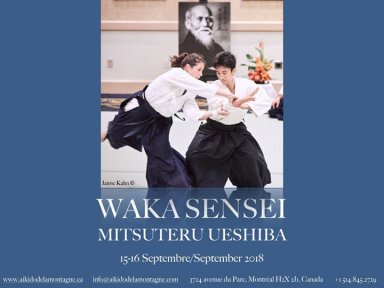 Aikido seminar poster