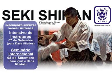 Aikido seminar poster